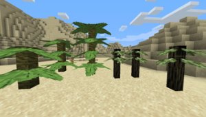预览图 1