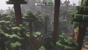 预览图 2