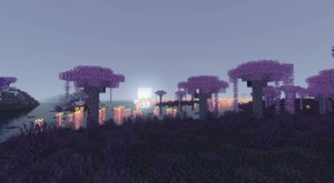 预览图 3