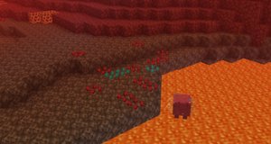 预览图 5