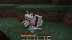 预览图 1