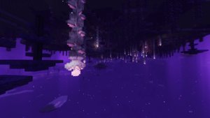 预览图 15