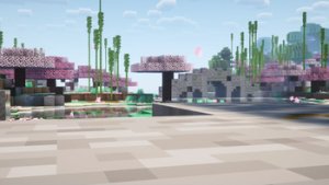 预览图 10