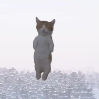 预览图 1