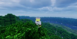 预览图 1
