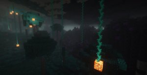 预览图 1