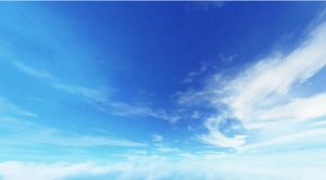 预览图 3