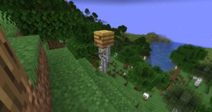 预览图 6