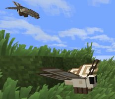 预览图 1
