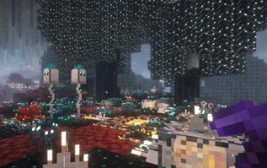预览图 1
