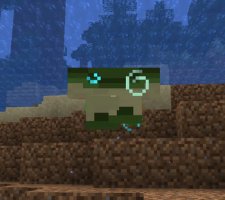 预览图 5