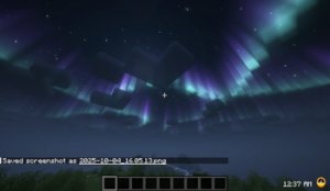 预览图 10
