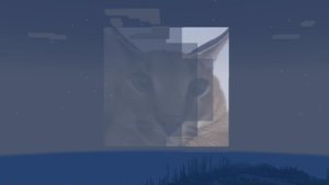 预览图 6
