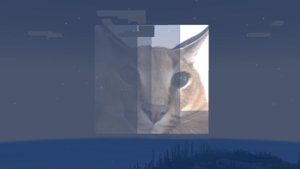 预览图 7