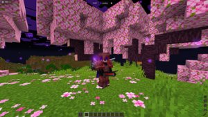 预览图 2