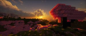 预览图 1