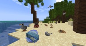 预览图 7