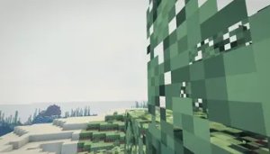 预览图 3