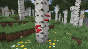 预览图 3