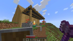 预览图 4