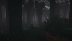 预览图 1