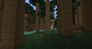 预览图 1