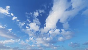 预览图 12