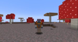 预览图 1