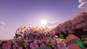 预览图 2