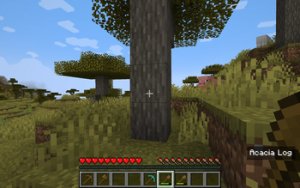 预览图 2