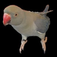 预览图 1