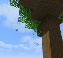 预览图 14