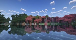 预览图 4