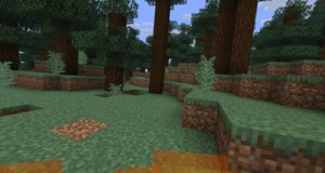 预览图 4