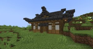 预览图 1