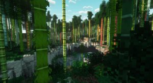 预览图 13