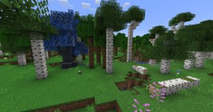 预览图 8