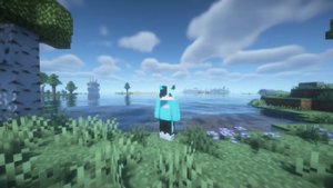 预览图 1