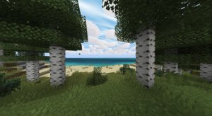 预览图 1
