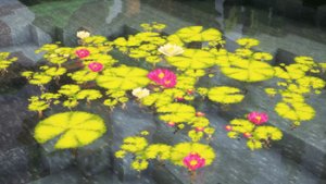 预览图 3