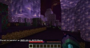 预览图 19