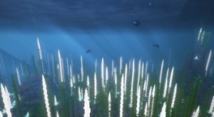 预览图 13