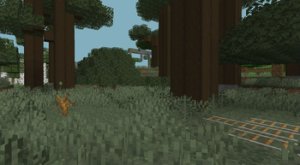预览图 2