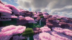预览图 20