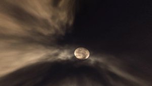 预览图 4