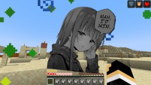 预览图 1