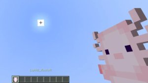 预览图 2