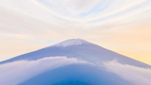 预览图 6