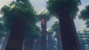 预览图 4