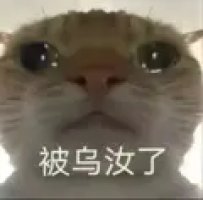 预览图 1